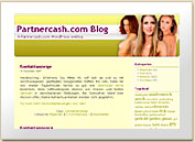 Adult wordpress theme